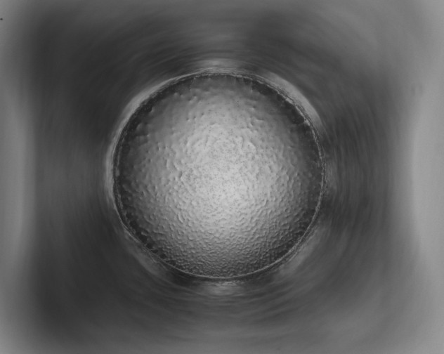 X0000102261435200807251320