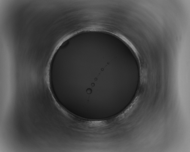X0000102261437200807251320