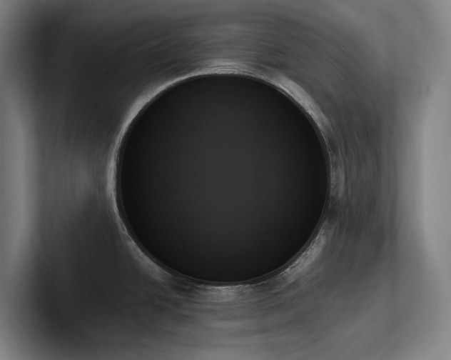 X0000102261438200807251320