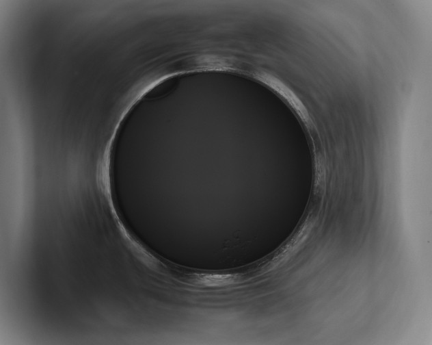 X0000102261439200807251320
