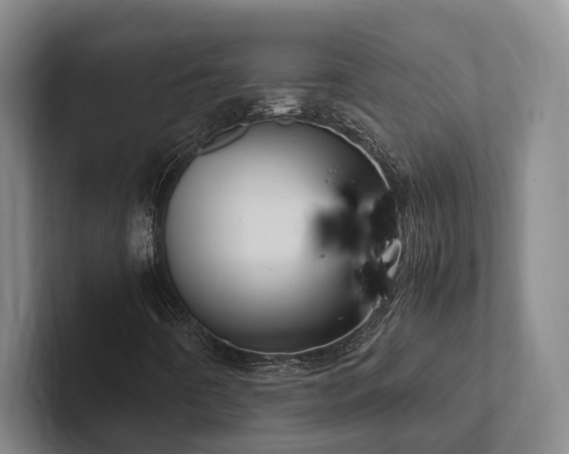 X0000102261442200807251320