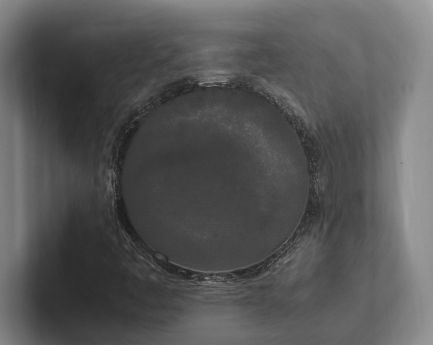 X0000102261445200807251320