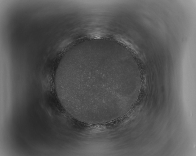 X0000102261446200807251320