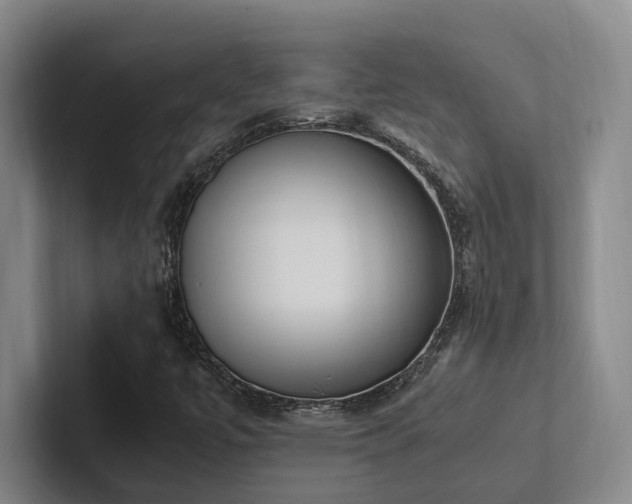 X0000102261447200807251320