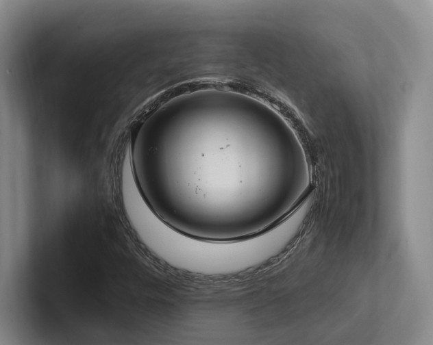X0000102261448200807251320