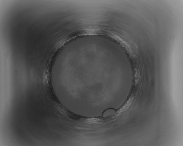 X0000102261449200807251320