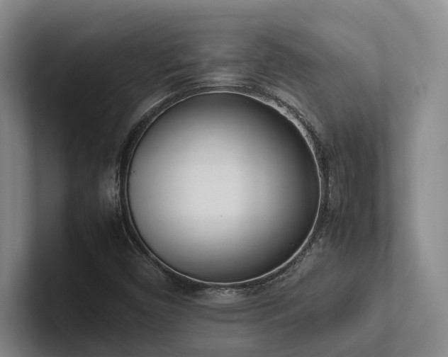 X0000102261450200807251320