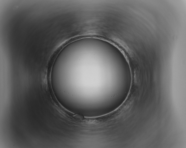 X0000102261452200807251320
