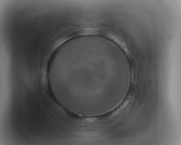 X0000102261453200807251320