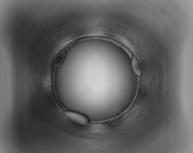 X0000102261456200807251320