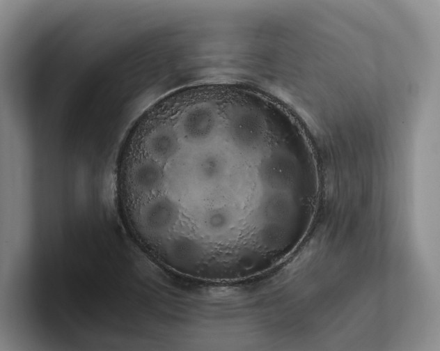 X0000102261459200807251320
