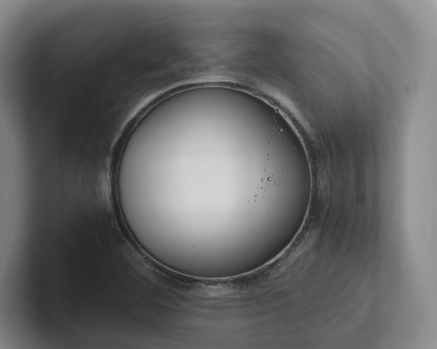 X0000102261460200807251320