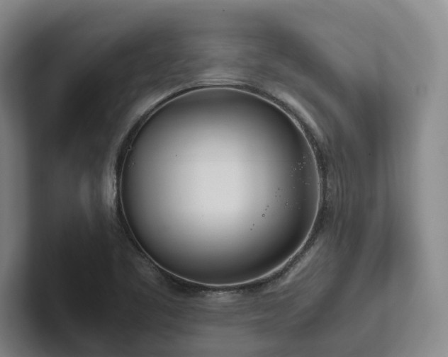 X0000102261461200807251320