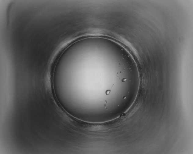 X0000102261464200807251320