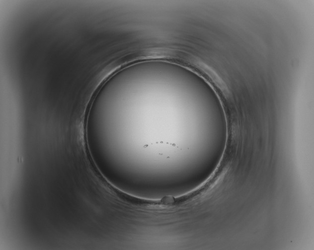 X0000102261465200807251320