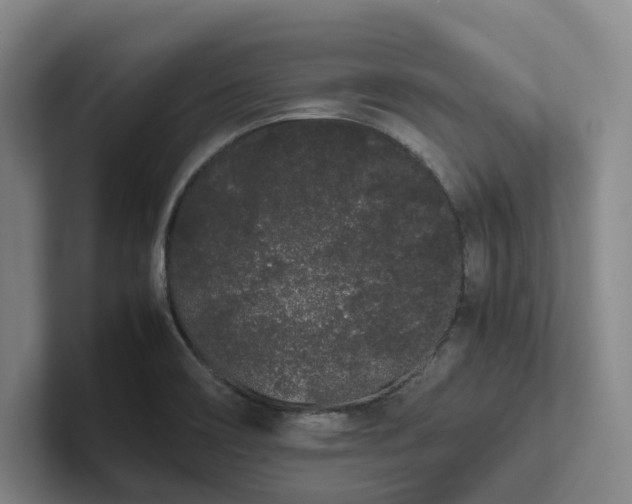 X0000102261466200807251320