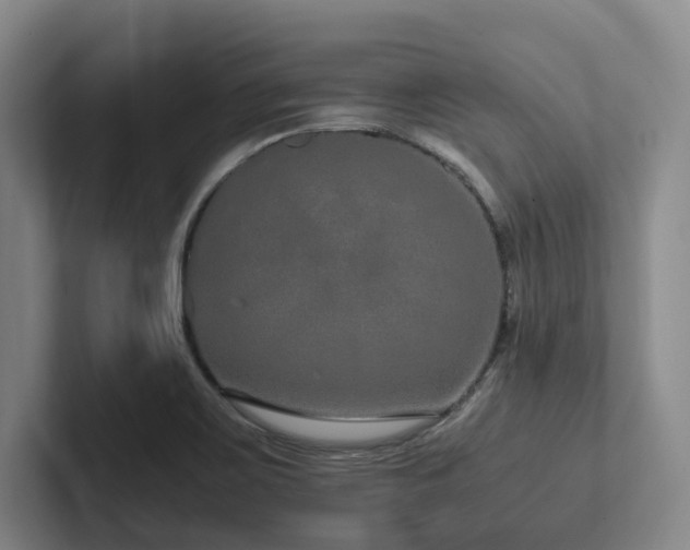 X0000102261467200807251320