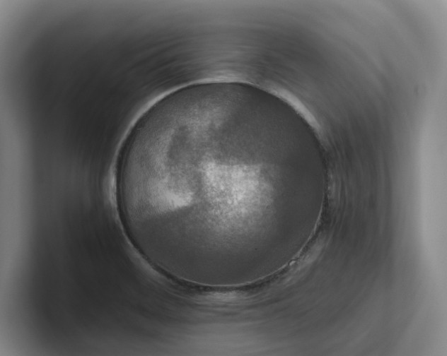 X0000102261468200807251319