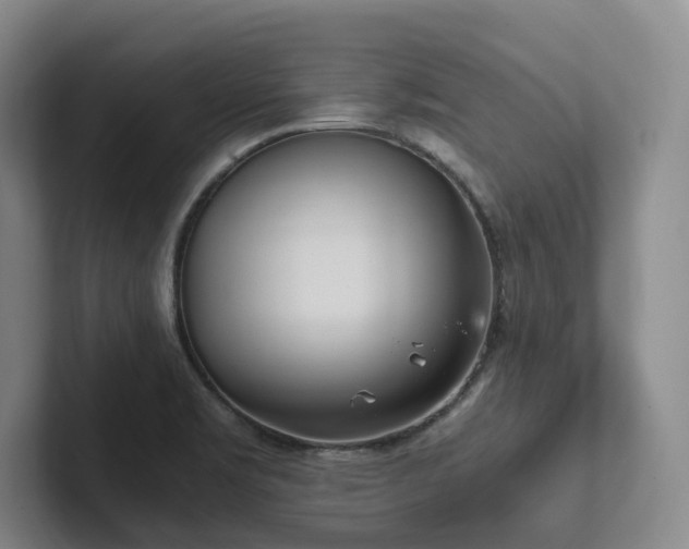 X0000102261469200807251319
