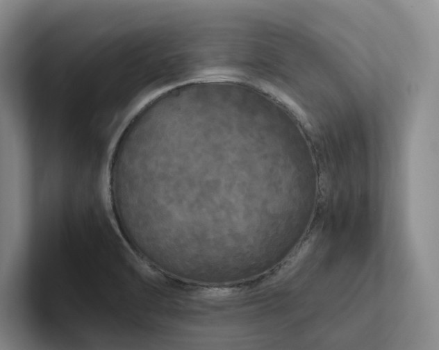 X0000102261470200807251319