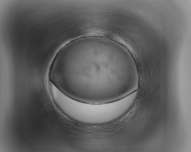 X0000102261471200807251319