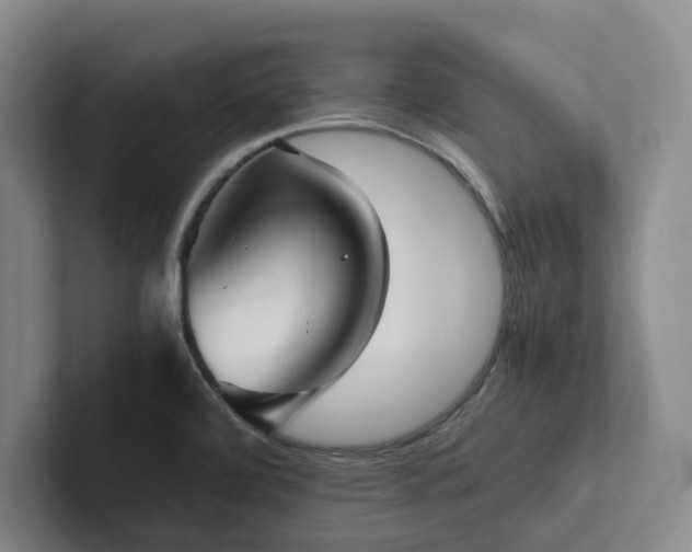 X0000102261472200807251319