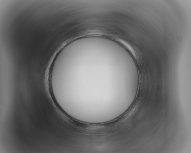 X0000102261475200807251319