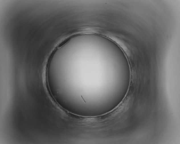 X0000102261477200807251319