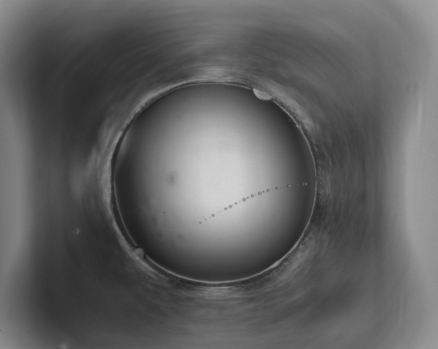 X0000102261479200807251319