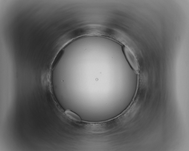 X0000102261481200807251319
