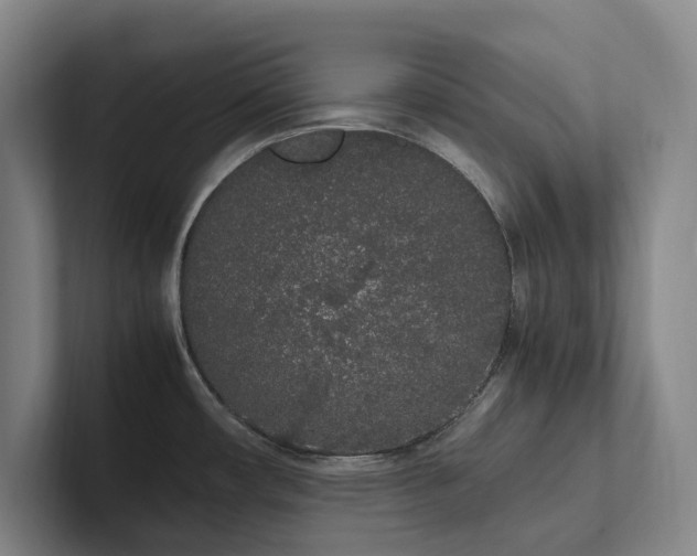 X0000102261482200807251319