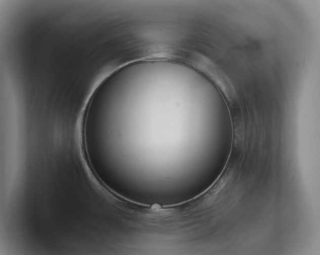 X0000102261483200807251319