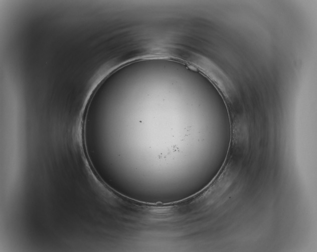 X0000102261484200807251319