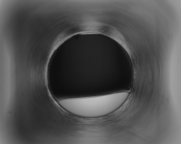 X0000102261485200807251319