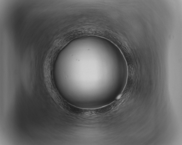 X0000102261489200807251319