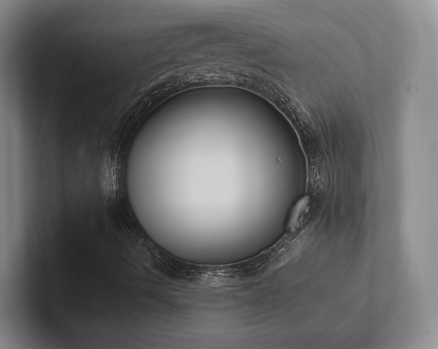X0000102261490200807251319