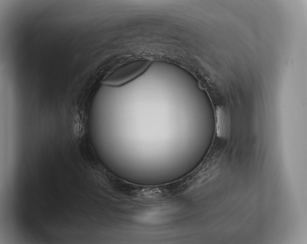 X0000102261491200807251319
