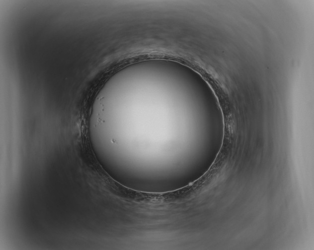X0000102261495200807251319