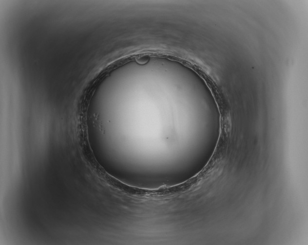 X0000102261496200807251319