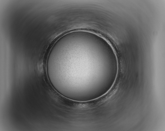 X0000102261497200807251319