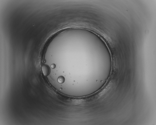 X0000102261498200807251319