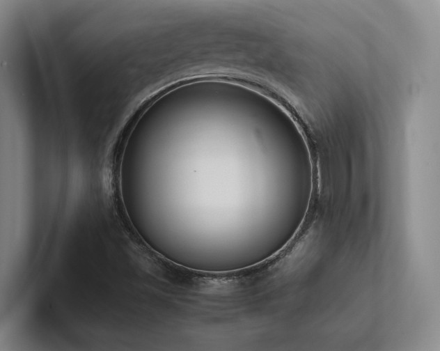 X0000102261501200807251319