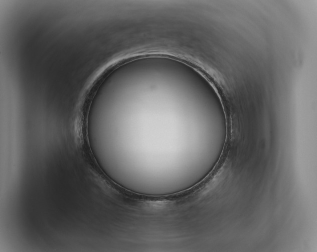 X0000102261502200807251319