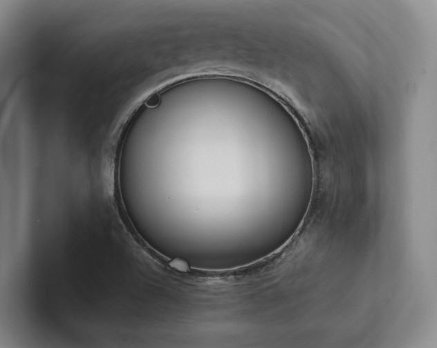 X0000102261504200807251319