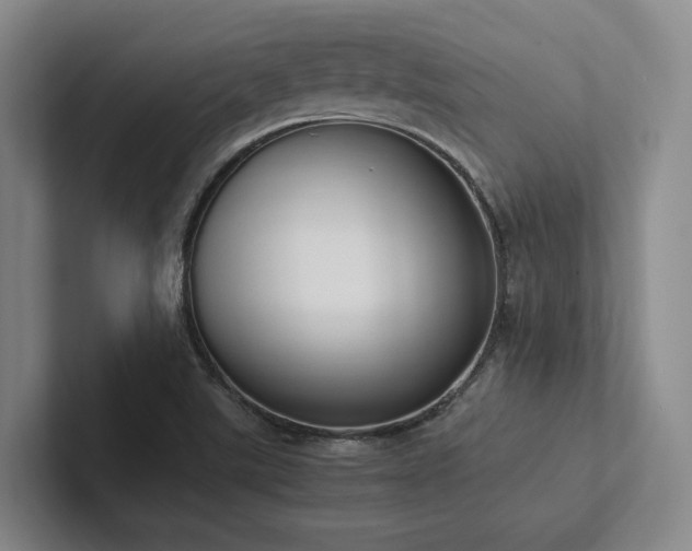X0000102261507200807251319