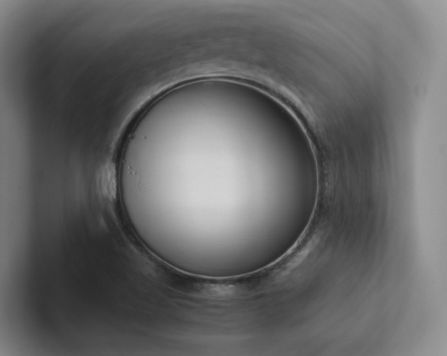 X0000102261509200807251319