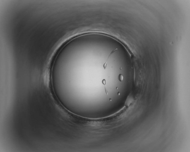 X0000102261511200807251319