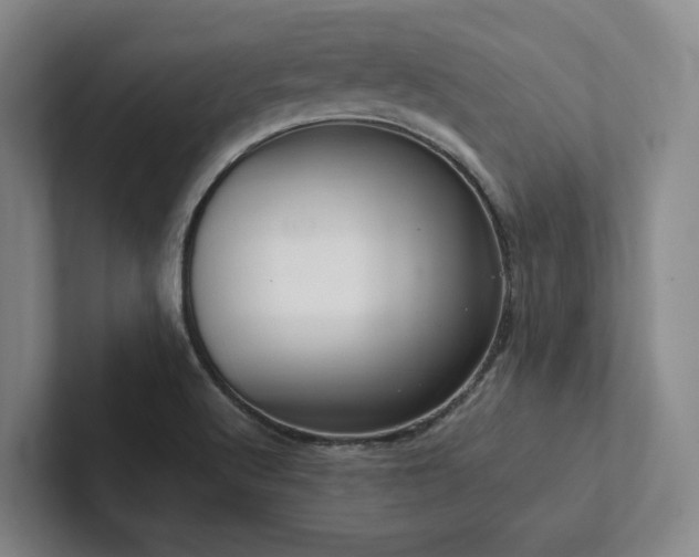 X0000102261512200807251319
