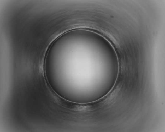 X0000102261513200807251319