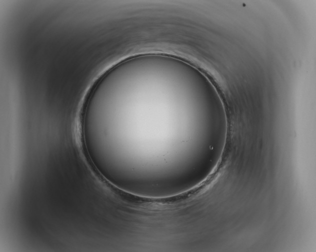 X0000102261517200807251319